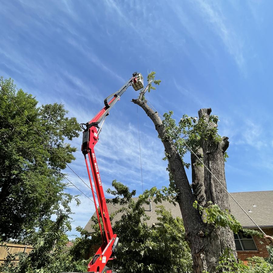Vision Tree Service lift removing a tree beside a house in the Oklahoma City metro